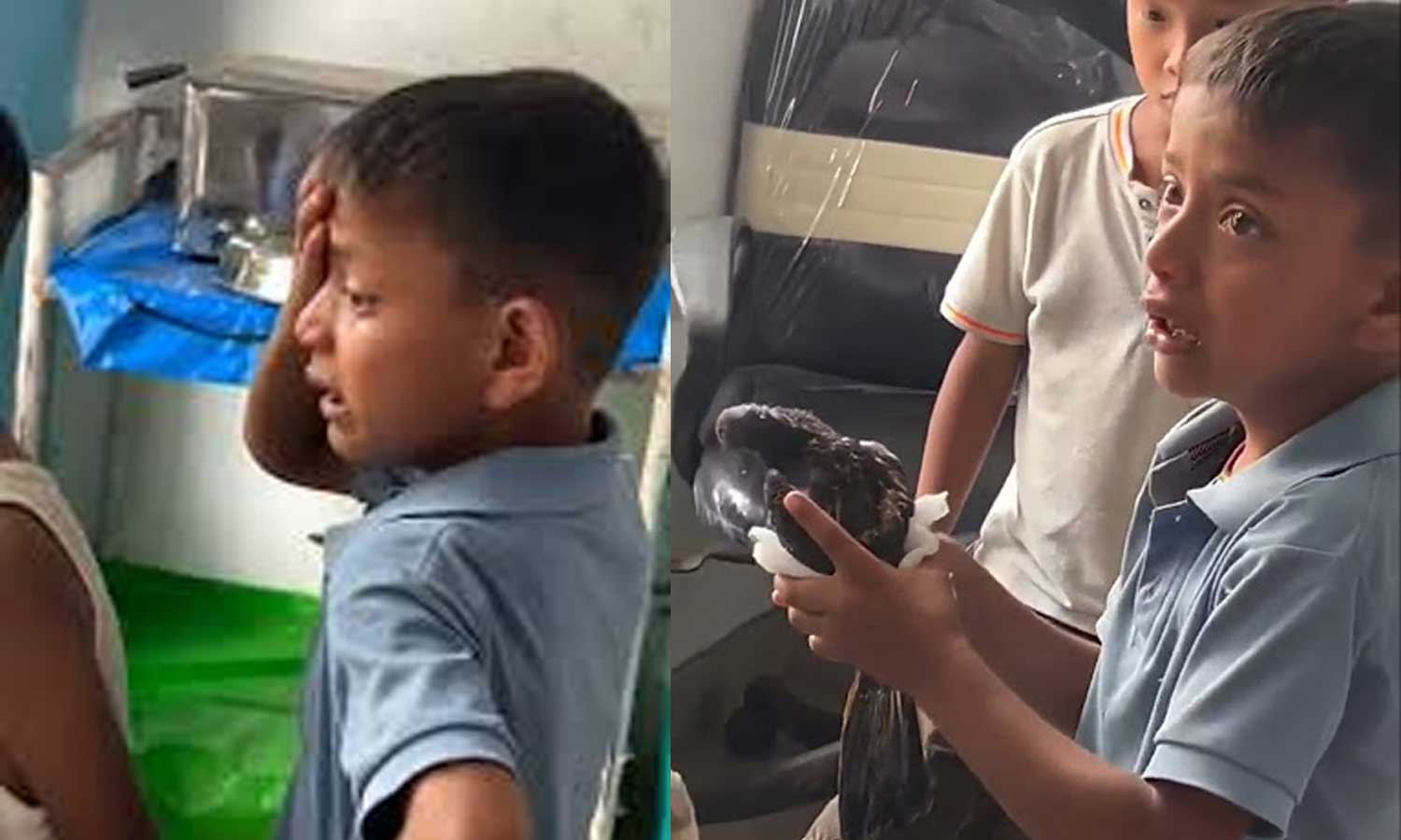 காயமடைந்த புறா உயிரிழந்ததால் மருத்துவமனையில் கதறி அழுத சிறுவன் - வைரல் வீடியோ