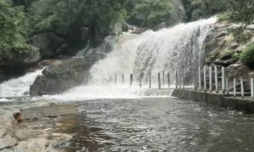 உடுமலை பஞ்சலிங்க அருவியில் சுற்றுலா பயணிகள் குளிக்க தடை