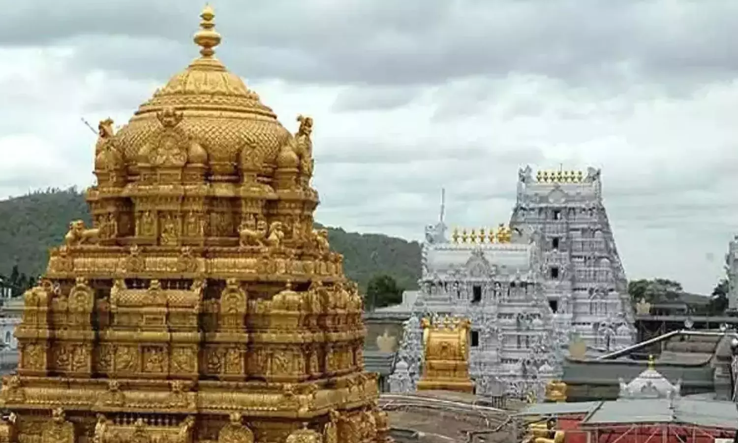 திருப்பதி கோவிலில் 12 மணி நேரம் காத்திருந்து பக்தர்கள் சாமி தரிசனம் திருப்பதி கோவிலில் 12 மணி நேரம் காத்திருந்து பக்தர்கள் சாமி தரிசனம்