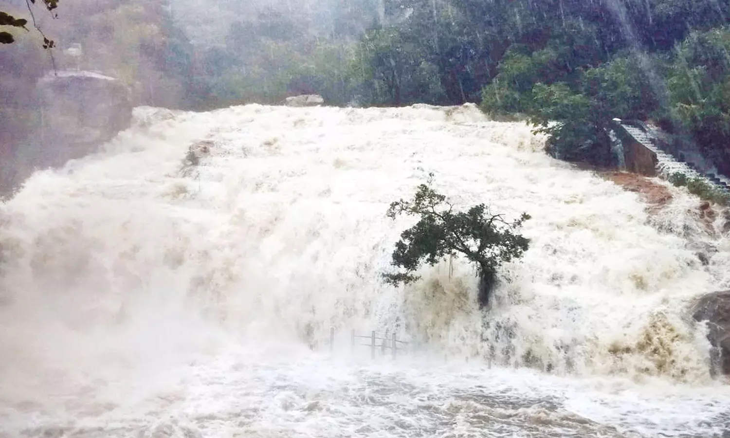 உடுமலை பஞ்சலிங்க அருவியை மூழ்கடித்த காட்டாற்று வெள்ளம் உடுமலை பஞ்சலிங்க அருவியை மூழ்கடித்த காட்டாற்று வெள்ளம்