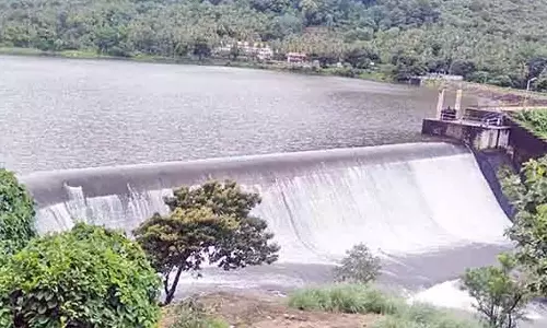 4 நாட்களில் சேர்வலாறு அணை நீர்மட்டம் 20 அடி உயர்வு