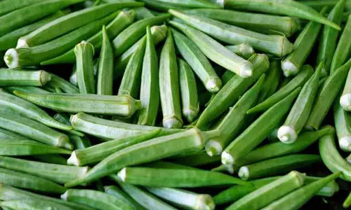 ரத்த அழுத்தம், நீரிழிவு நோயை கட்டுப்படுத்தும் வெண்டைக்காய்- இருதய நிபுணர்கள் தகவல்