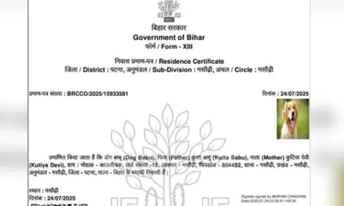 பீகாரில் நாய்க்கு இருப்பிடச் சான்றிதழ் வழங்கப்பட்டதால் சர்ச்சை.. எதிர்க்கட்சிகள்  கடும் விமர்சனம்