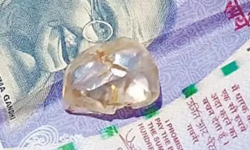 வயலில் கிடைத்த வைரக்கல்: ஒரே நாளில் அதிர்ஷ்டசாலியாக மாறிய பெண் விவசாயி