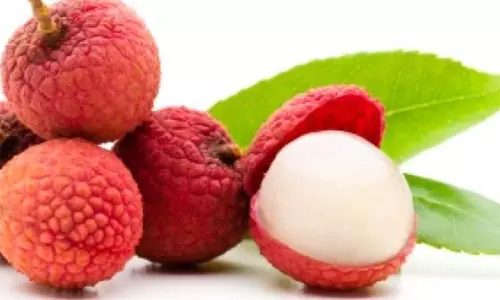 லிச்சி பழம் சாப்பிடுவதால் பெறும் நன்மைகள்