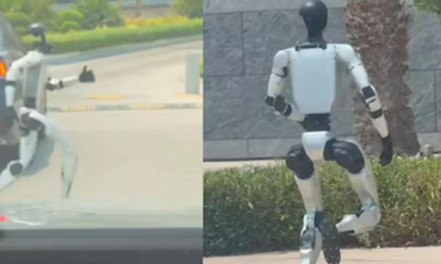 சாலையின் குறுக்கே ஓடிய ரோபோ- வீடியோ வைரல் சாலையின் குறுக்கே ஓடிய ரோபோ- வீடியோ வைரல்