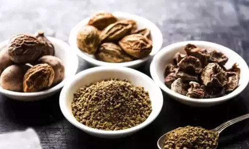 நோய் வராமல் தடுக்கும் கவசம் திரிபலா