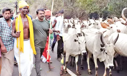 தடையை மீறி மலையேறி மாடு மேய்க்கும் போராட்டம் - சீமான் மீது வழக்குப்பதிவு