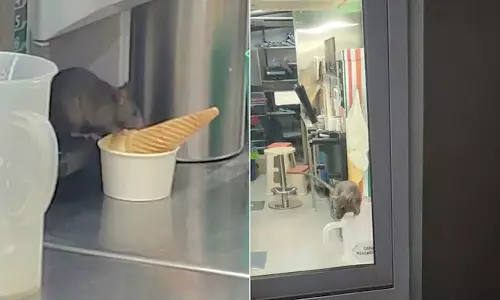 பிரபல மாலில் ஐஸ்கிரீமை ரசித்து ருசித்து சாப்பிட்ட எலி- வைரலாகும் வீடியோ