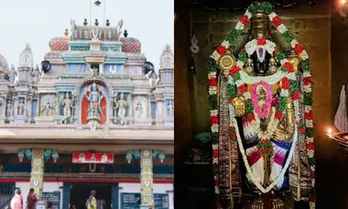 இழந்த செல்வங்களை மீட்டுத் தரும் திருவண்ணாமலை பெருமாள்