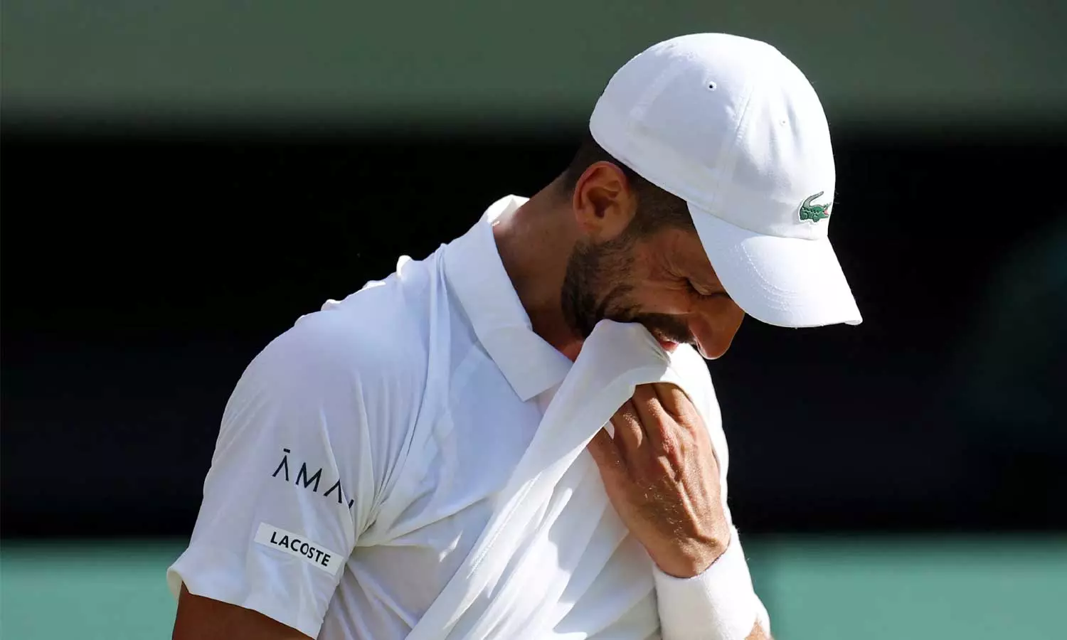 சின்சினாட்டி ஓபன் தொடரில் இருந்து ஜோகோவிச் விலகல்