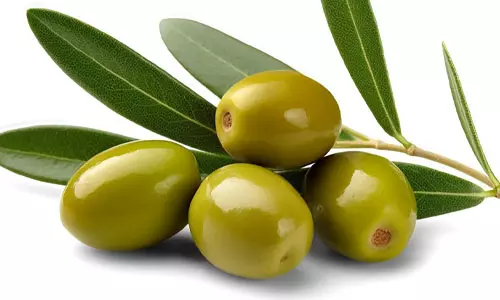 ஆரோக்கியம் நிறைந்த ஆலிவ் பழங்கள்
