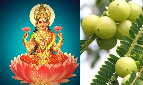 லட்சுமியும் நெல்லி மரமும்