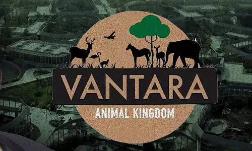 வந்தாரா விலங்குகள் நலவாழ்வு மையத்தை சட்ட விரோதமானது என அறிவிக்க வேண்டும்: சுப்ரீம் கோர்ட்டில் மனு