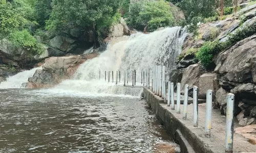 பஞ்சலிங்க அருவியில் திடீர் வெள்ளப்பெருக்கு- சுற்றுலா பயணிகள் குளிக்க தடை