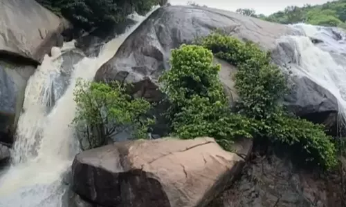 ஜலகாம்பாறை நீர்வீழ்ச்சியில் வெள்ளப்பெருக்கு - பொதுமக்கள் குளிக்க தடை விதிப்பு