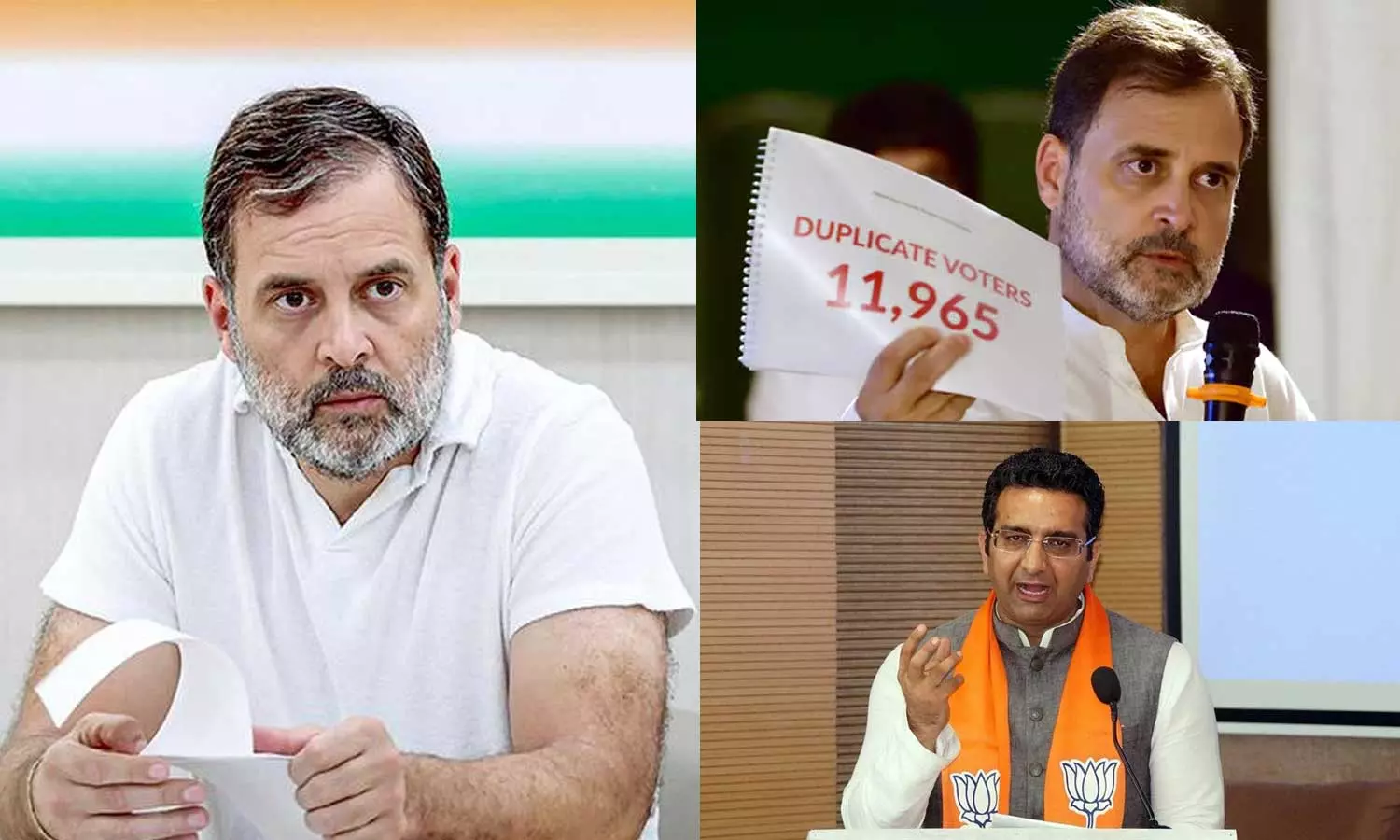 Stray அரசியல்வாதிபோல் சுற்றித்திரிகிறார் ராகுல் காந்தி: பாஜக தலைவர் கடும் தாக்கு