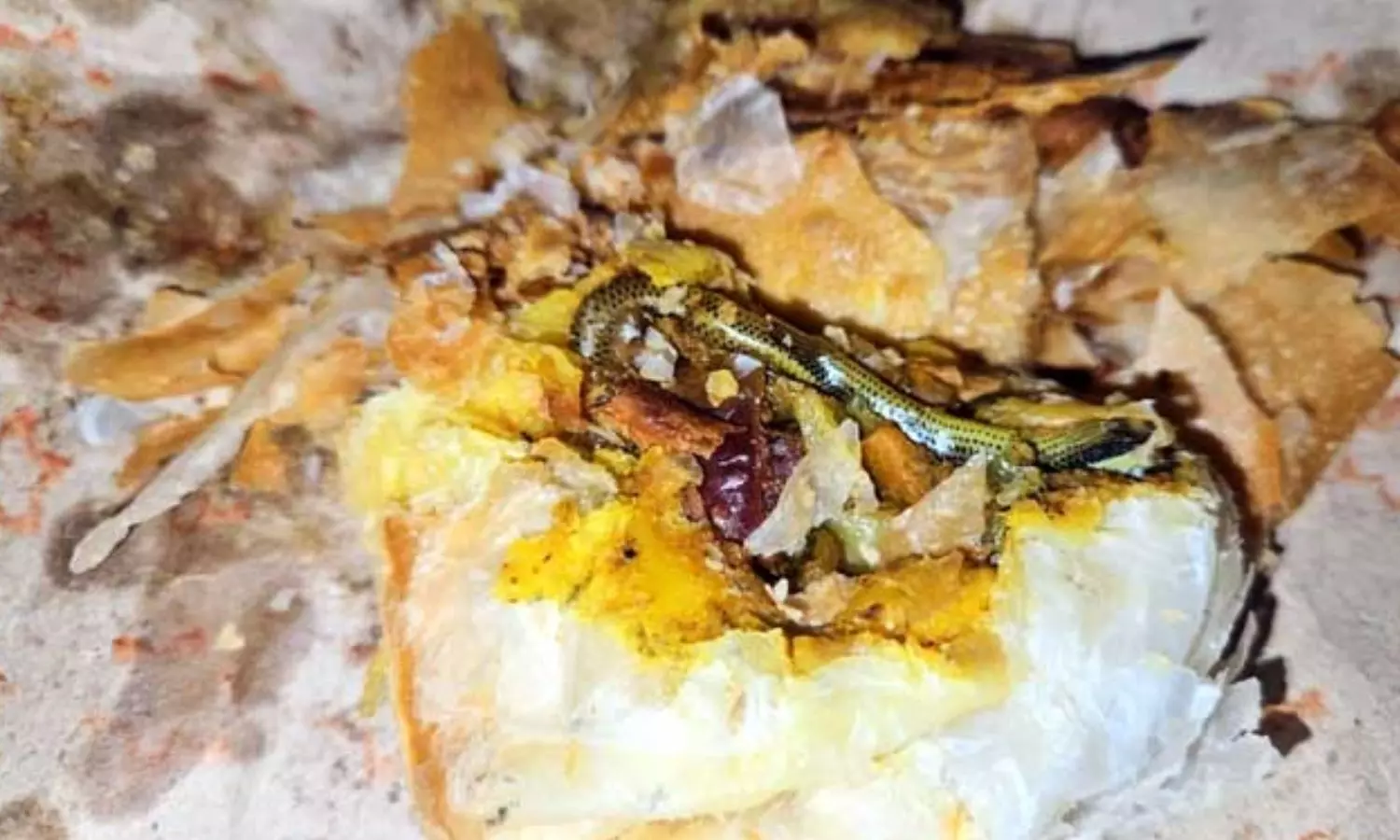 VIDEO: பிள்ளைகளுக்காக வாங்கிய பப்ஸ்-இல் கிடந்த பாம்பு - அதிர்ச்சியில் உறைந்த பெண் - பேக்கரி மீது புகார்