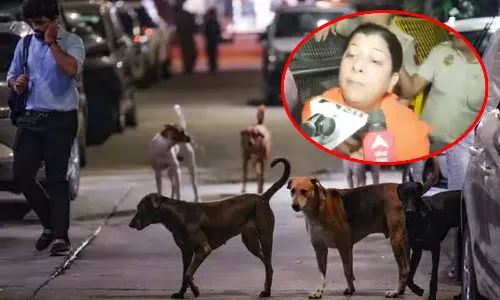 தெரு நாய்களை காப்பகங்களில் அடைக்கும் உத்தரவை கண்டித்து விலங்கு நல ஆர்வலர்கள் போராட்டம்