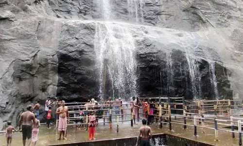 பழைய குற்றால அருவிக்கு செல்லும் சுற்றுலா பயணிகளின் கவனத்திற்கு... வனத்துறை போட்ட கண்டிஷன்