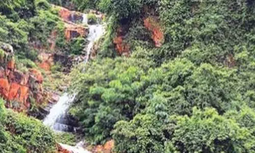 திருப்பதியில் ரம்மியமாக கொட்டும் நீர்வீழ்ச்சிகள்- பக்தர்கள் செல்பி எடுத்து மகிழ்ச்சி