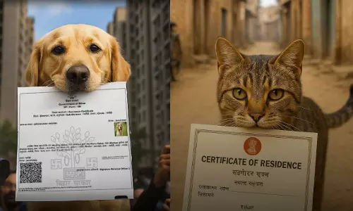 நாய்க்கு அடுத்தபடியாக பூனைக்கும் வசிப்பிடச் சான்றிதழ் - பீகாரில் தொடரும் சர்ச்சை