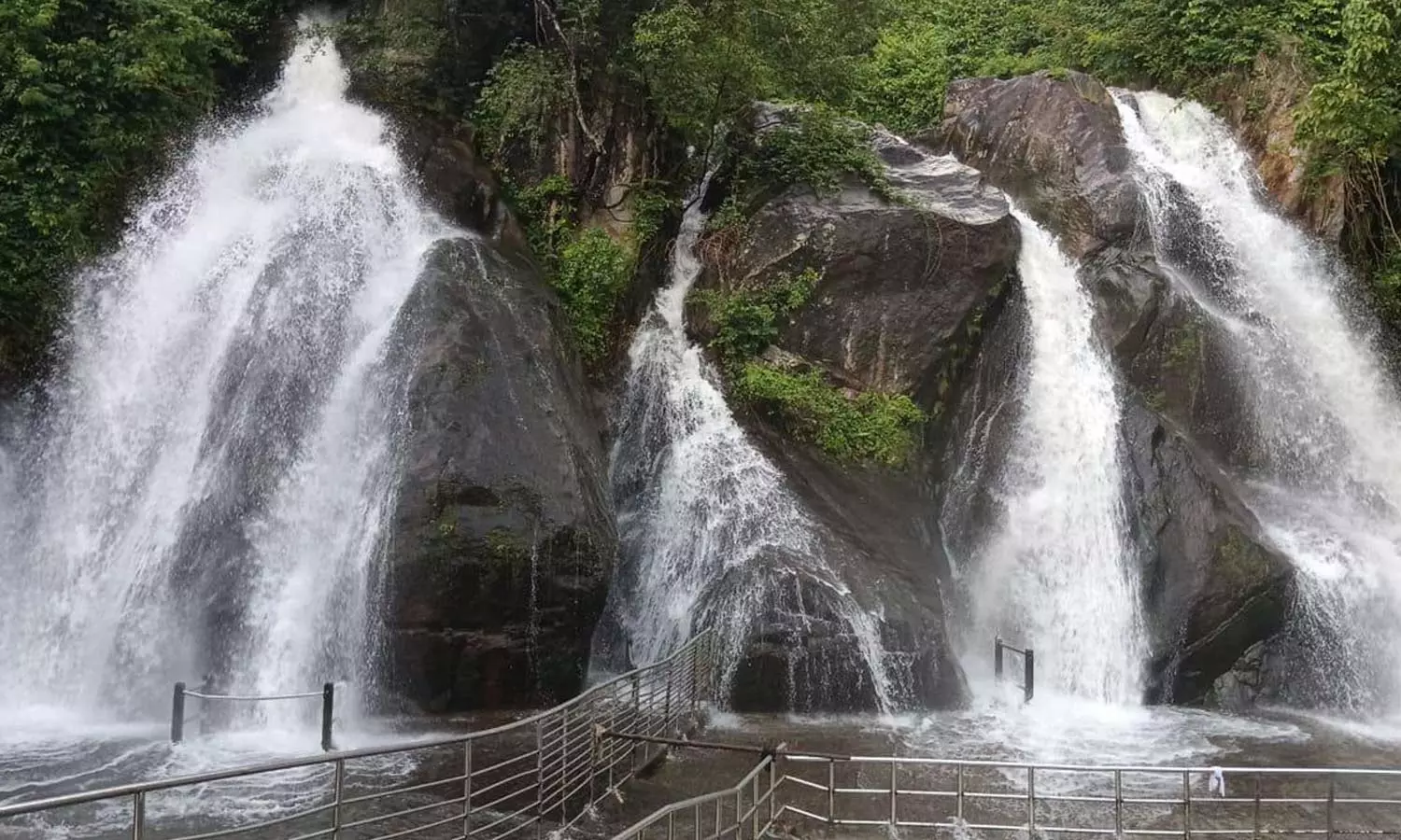 குற்றால அருவிகளில் வெள்ளப்பெருக்கு- சுற்றுலாப் பயணிகள் குளிக்க தடை நீட்டிப்பு