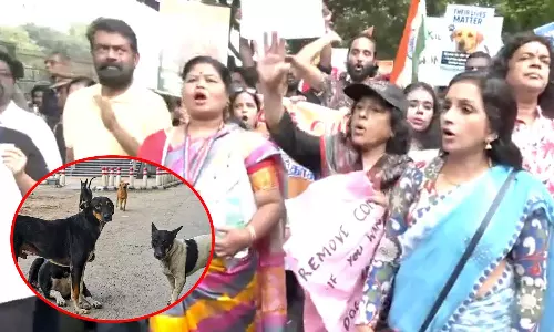 VIDEO: தெருநாய்களுக்கு ஆதரவாக திருச்சியில் விலங்கு நல ஆர்வலர்கள் பேரணி