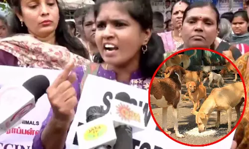 தற்காப்புக்காகதான் தெருநாய் மனிதனை கடிக்கிறது - திருச்சி பேரணியில் பேசிய விலங்குகள் நல ஆர்வலர்