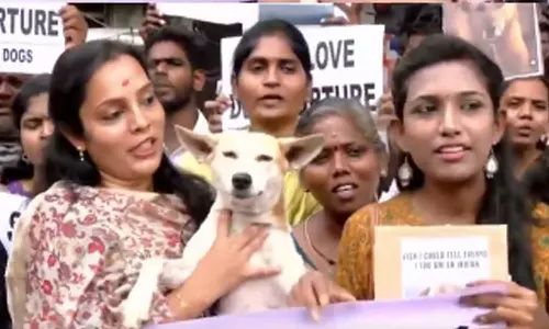 நாய்க்கு சாப்பாடு கொடுங்க... இல்லனா வெறி பிடிக்கும் - விலங்கு நல ஆர்வலர்