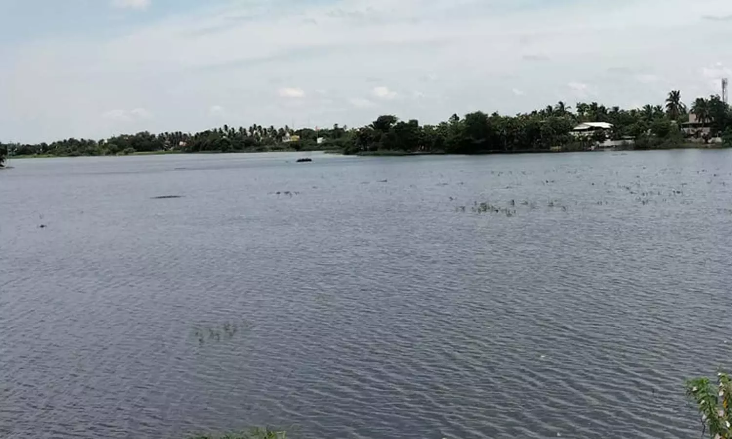 தொடர்மழையால் காவிரியில் நீர்வரத்து அதிகரிப்பு - தஞ்சை மாவட்ட ஏரிகளில் நீர்மட்டம் உயர்வு