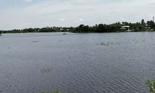 தொடர்மழையால் காவிரியில் நீர்வரத்து அதிகரிப்பு - தஞ்சை மாவட்ட ஏரிகளில் நீர்மட்டம் உயர்வு