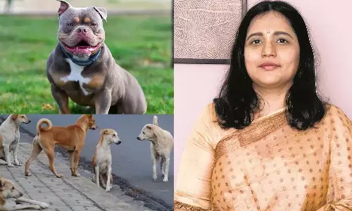 பிட் புல் நாய் கடித்த விவகாரம்: தெரு நாய் பிரச்சனைக்கு தீர்வு சொன்ன நடிகை வினோதினி