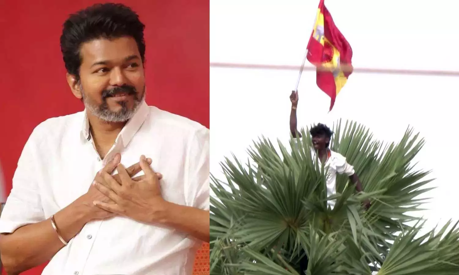 மதுரை மாநாட்டில், த.வெ.க. கொடியுடன் பனை மரத்தில் ஏறிய தொண்டரால் பரபரப்பு மதுரை மாநாட்டில், த.வெ.க. கொடியுடன் பனை மரத்தில் ஏறிய தொண்டரால் பரபரப்பு