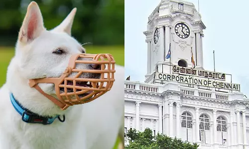 வளர்ப்பு நாய் உரிமையாளர்களுக்கு கட்டுப்பாடுகள் - சென்னை மாநகராட்சி உத்தரவு