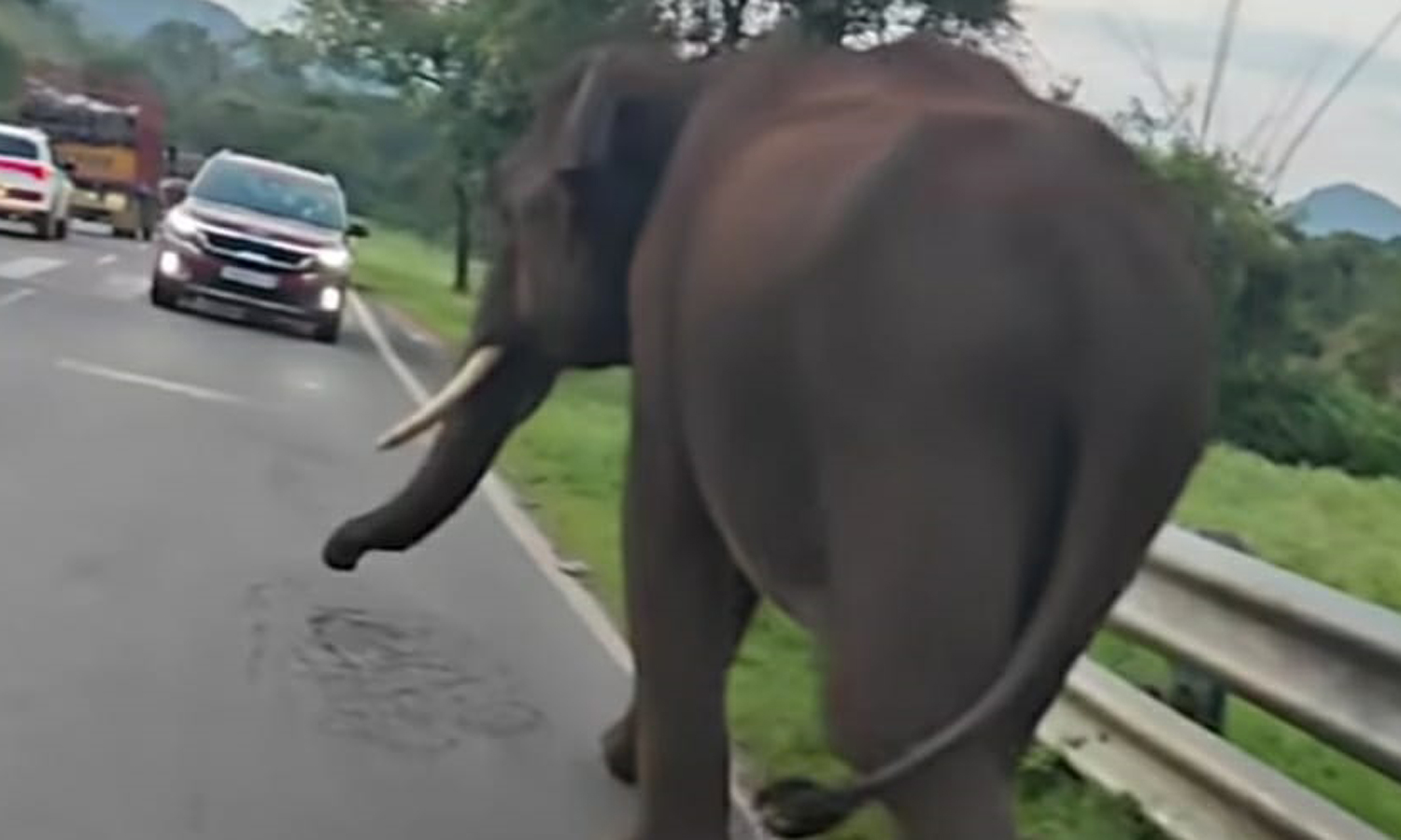 கரும்புக்கட்டுகளை எடுக்கும் வேகத்தில் லாரி கண்ணாடியை உடைத்து சேதப்படுத்திய ஒற்றை யானை