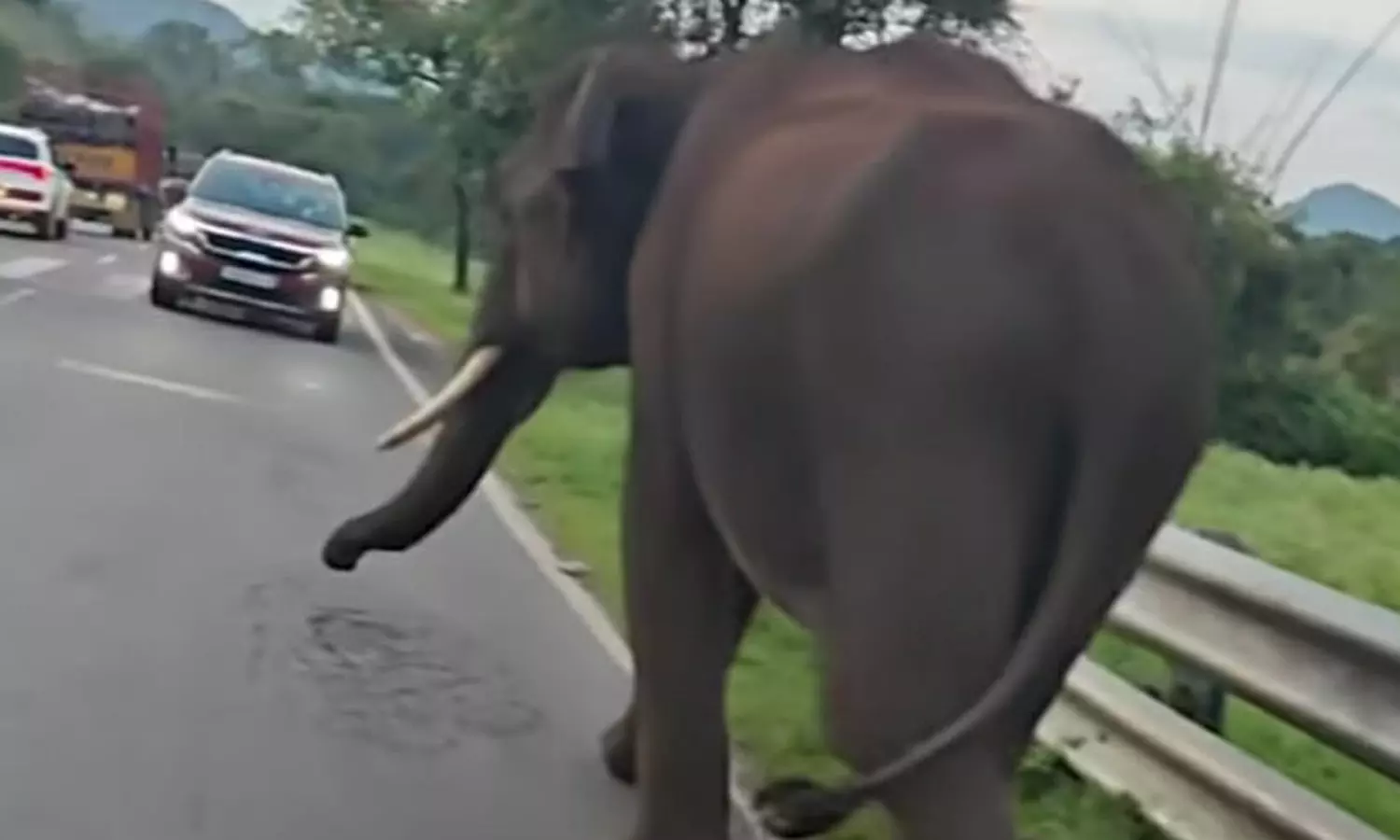 கரும்புக்கட்டுகளை எடுக்கும் வேகத்தில் லாரி கண்ணாடியை உடைத்து சேதப்படுத்திய ஒற்றை யானை