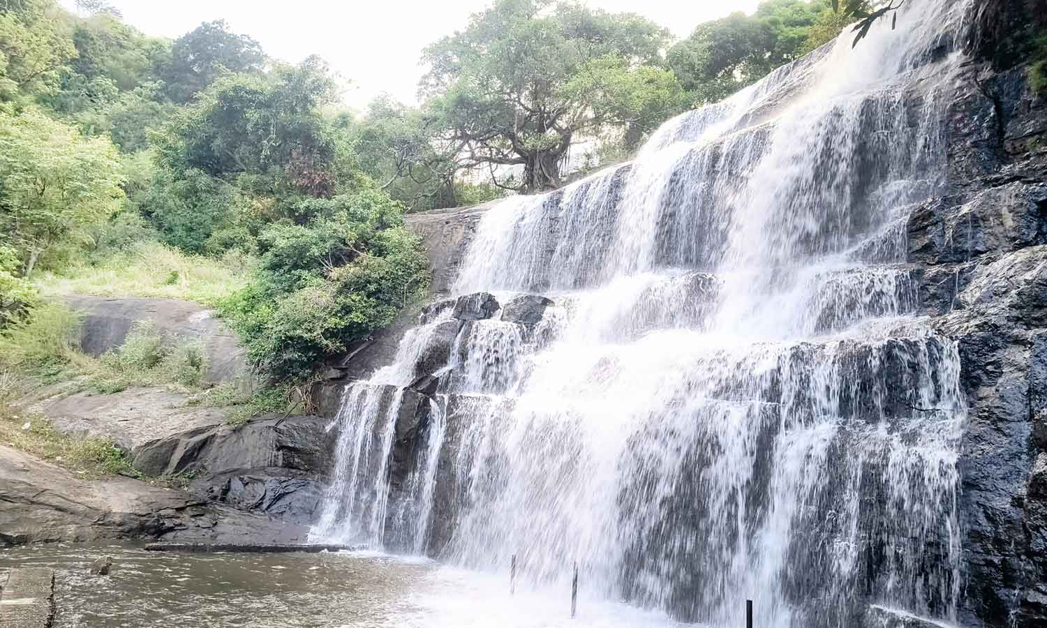 2 வாரங்களை கடந்து 69 அடிக்கு மேல் நீடிக்கும் வைகை அணை நீர்மட்டம்