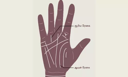 சூரிய ரேகை பலன்கள்