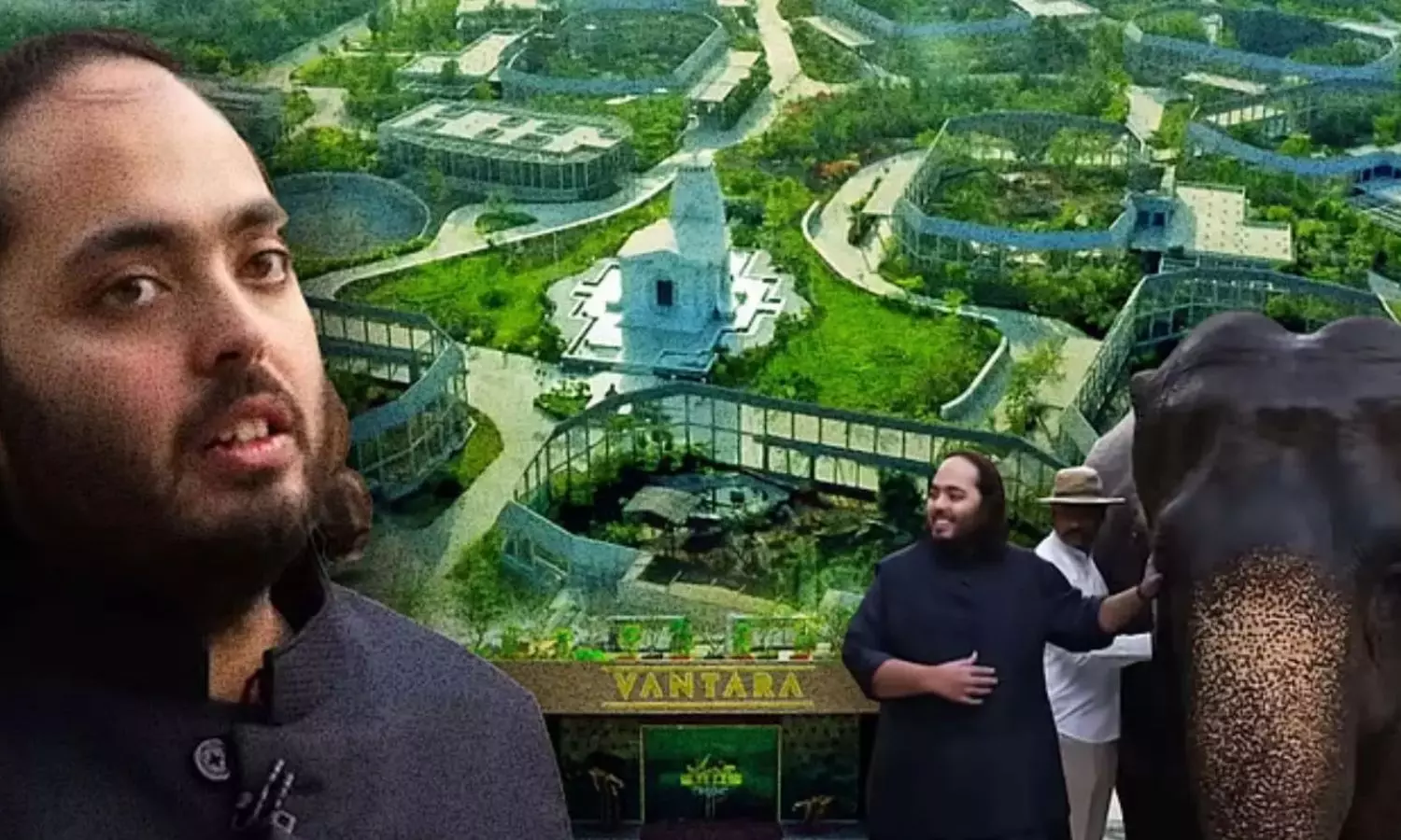 ஆனந்த் அம்பானி வந்தாரா விலங்குகள் கடத்தல் விவகாரம்: சிறப்பு விசாரணை குழு அமைத்த உச்சநீதிமன்றம்