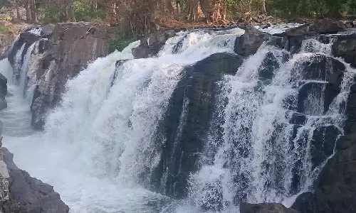 ஒகேனக்கல்லுக்கு நீர்வரத்து 12 ஆயிரம் கனஅடியாக குறைந்தது