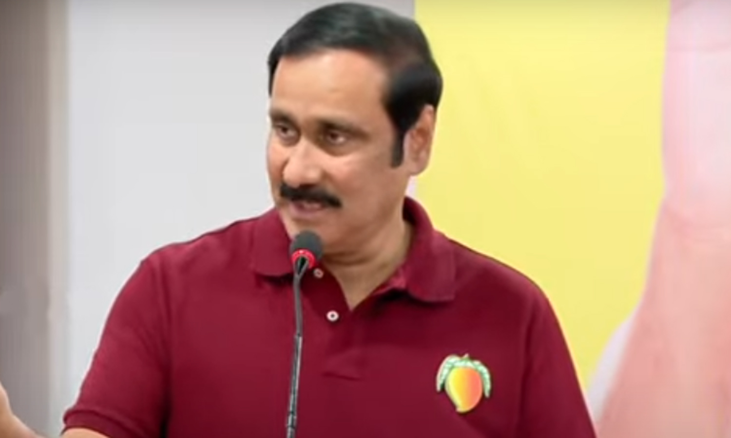 87% வாக்குறுதிகளை தி.மு.க. நிறைவேற்றவில்லை - விடியல் எங்கே? புத்தகத்தை வெளியிட்ட அன்புமணி