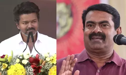 அணில் ஏன் அங்கிள், அங்கிள் என கத்துகிறது... ஜங்கிள், ஜங்கிள் என்று தானே கத்த வேண்டும்... விஜயை விமர்சித்த சீமான்