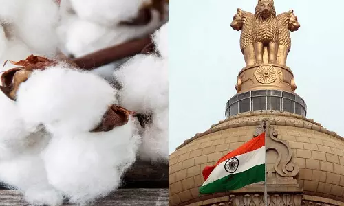 பருத்திக்கான இறக்குமதி வரிவிலக்கு மேலும் 3 மாதங்களுக்கு நீட்டிப்பு- மத்திய அரசு அறிவிப்பு