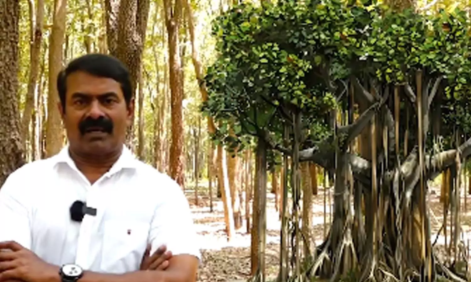 திருத்தணி அருகே நாளை சீமான் மரங்களோடு பேசுகிறார் திருத்தணி அருகே நாளை சீமான் மரங்களோடு பேசுகிறார்