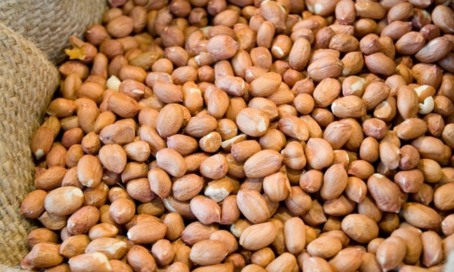 இந்தியாவில் இருந்து நிலக்கடலை இறக்குமதியை நிறுத்தி வைத்தது இந்தோனேசியா