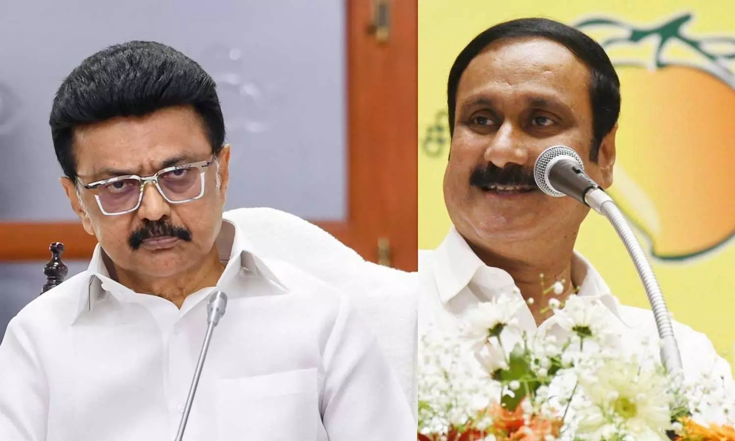 ரூ.10.62 லட்சம் கோடி முதலீடு வந்து விட்டதா?: பச்சைப்பொய் ஒன்றுதான் திமுகவின் முதலீடு- அன்புமணி ராமதாஸ்