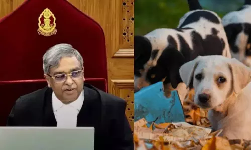 தெருநாய் வழக்கு உலகம் முழுவதும் என்னை பிரபலமாக்கியது - உச்ச நீதிமன்ற நீதிபதி  விக்ரம் நாத்