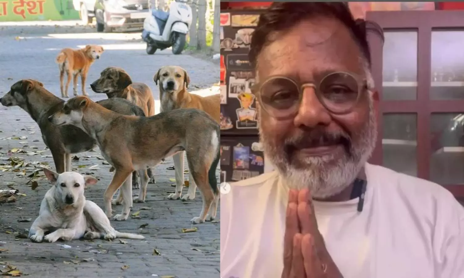 VIDEO: தெருநாய் தொடர்பான விவாதம் - மன்னிப்பு கேட்டார் நடிகர் படவா கோபி