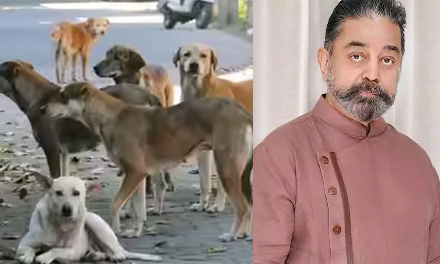 பூதாகரமாக மாறிய தெருநாய் பிரச்சனை: சிம்பிள் தீர்வு கூறிய கமல்ஹாசன்